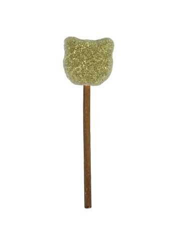 Cat chewing toy Lollipop - Record