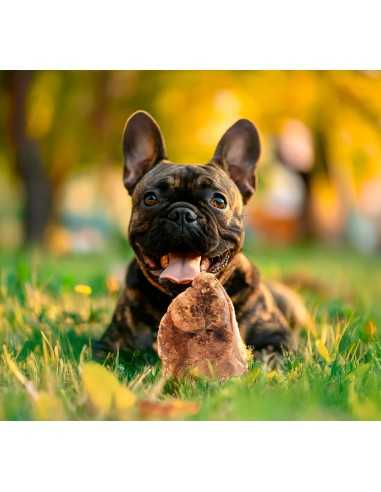 Radice di erica per cani Anima Selvaggia - Record