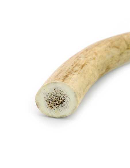 Deer antlers for dogs - Record