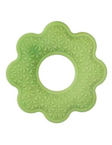 Floating dog toy Freshness - Record