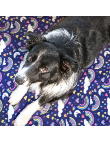 Pet blanket - Record