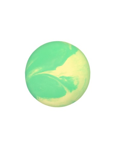 Dog chew toy Fantasy - Record