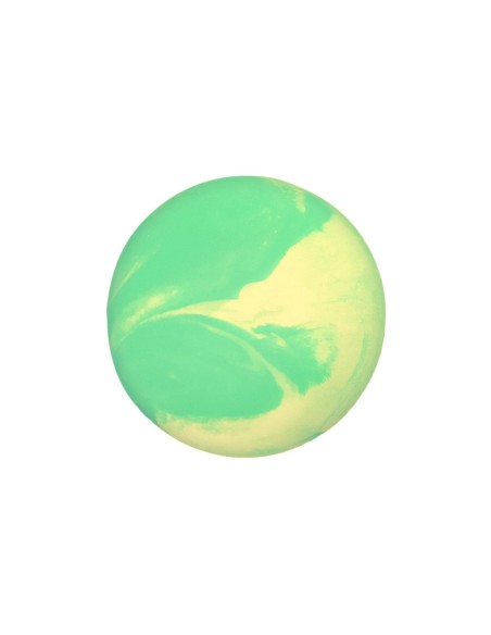 Dog chew toy Fantasy - Record