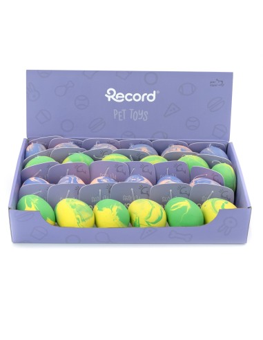 Dog chew toy Fantasy - Record