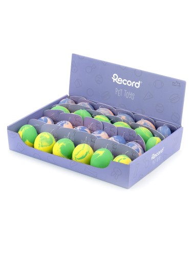 Dog chew toy Fantasy - Record