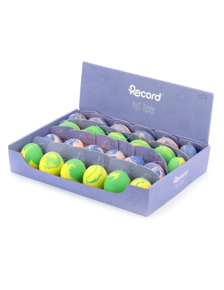 Dog chew toy Fantasy - Record