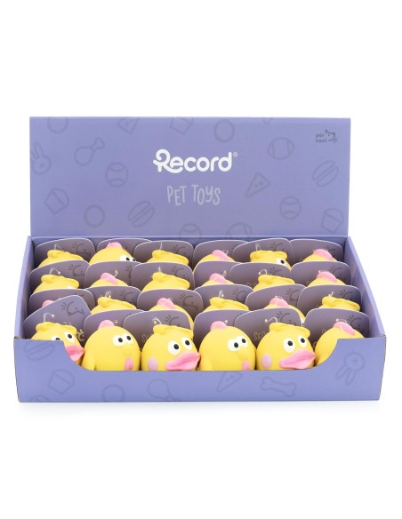 Dog chew toy Chick and Duckling - Record