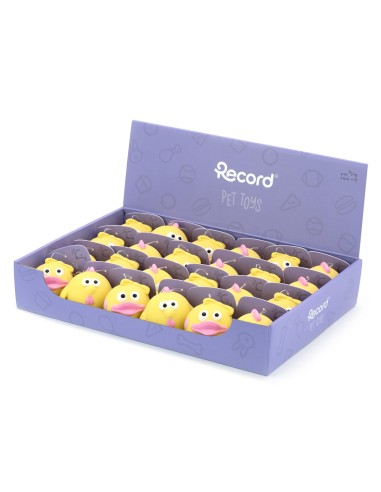 Dog chew toy Chick and Duckling - Record