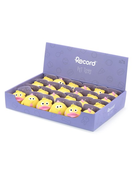 Dog chew toy Chick and Duckling - Record