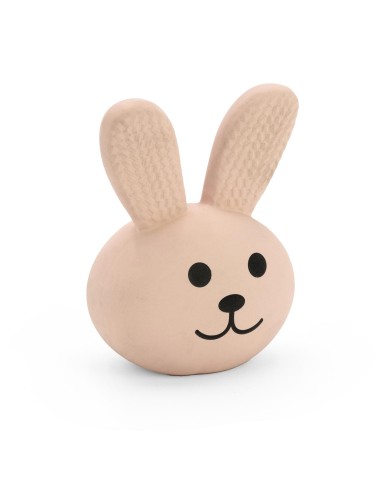 Dog chew toy Animals - Record