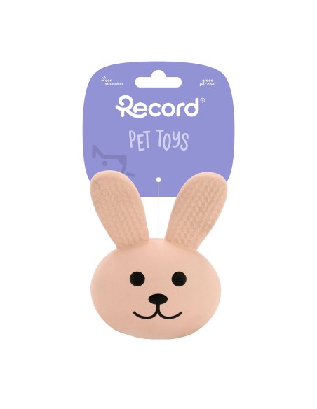 Dog chew toy Animals - Record