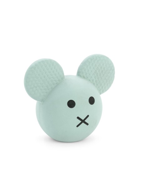 Dog chew toy Animals - Record