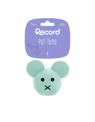 Dog chew toy Animals - Record