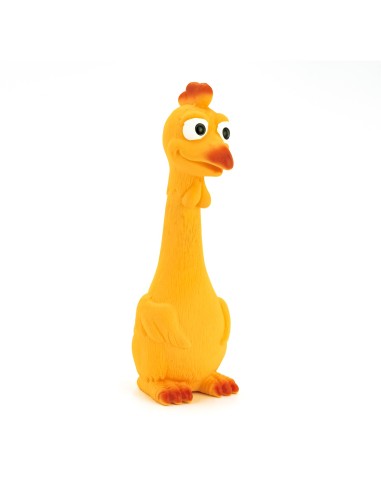 Dog chew toy Hen and Duck - Record