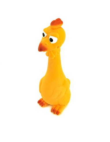 Dog chew toy Hen and Duck - Record