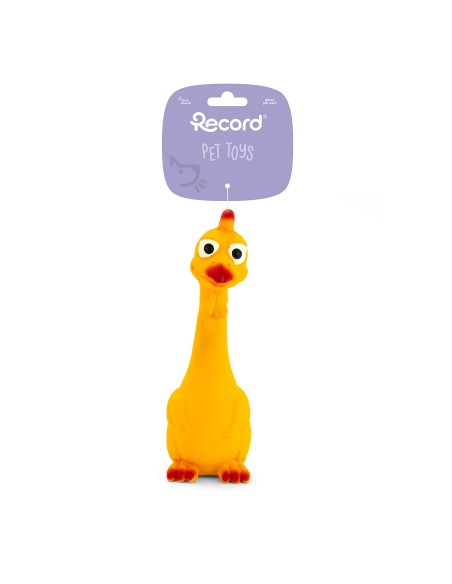 Dog chew toy Hen and Duck - Record