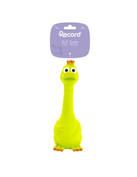 Dog chew toy Hen and Duck - Record