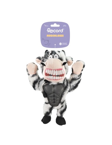Dog chewing toy Muscolossi - Record