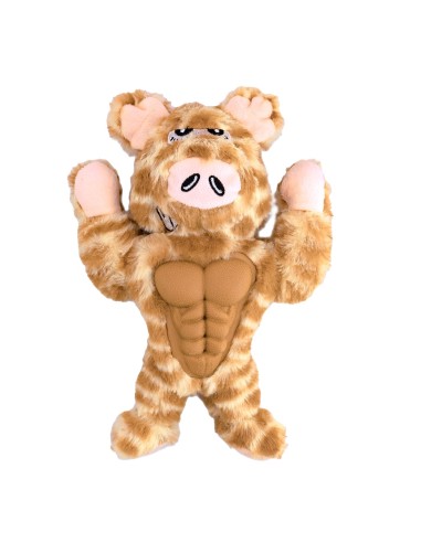 Dog chewing toy Muscolossi - Record