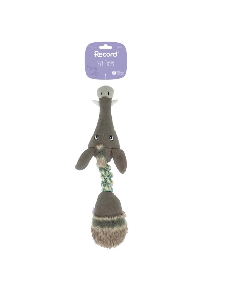Interactive dog toy Elastic Friends - Record