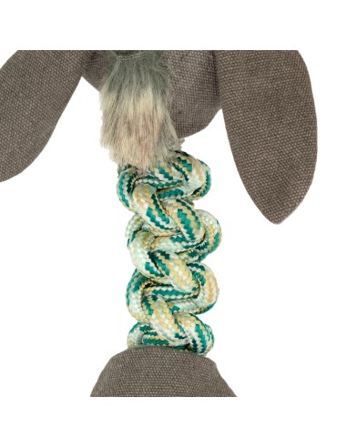 Interactive dog toy Elastic Friends - Record