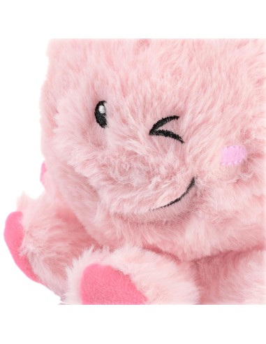 Dog chewing toy Bubble - Record