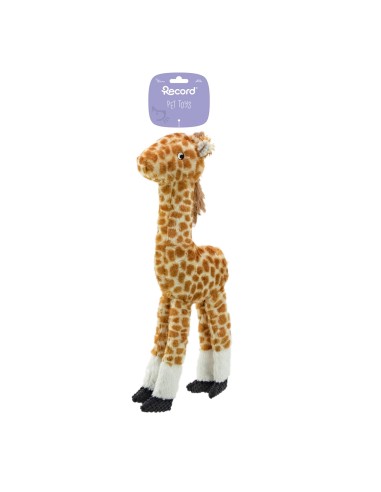 Plushy dog plush with squeaker - Record