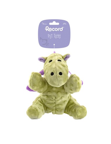 Dog chewing toy Dinos - Record