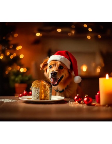 Dolci artigianali natalizi per cani, Panettone e Pandoro - Record