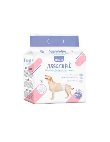 Pannolini assorbenti a fascia per cani maschi - Record