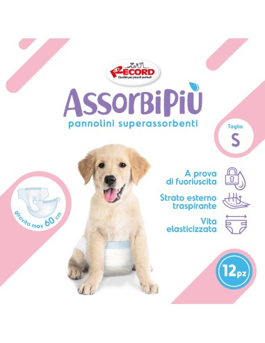 Absorbent dog nappies with elastic band - Record