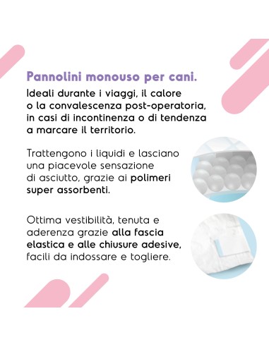 Pannolini assorbenti per cani con fascia elastica - Record