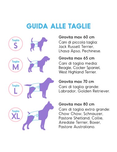 Absorbent dog nappies with elastic band - Record