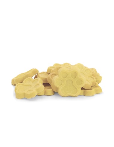 BiscoRe Zampotti citrus fruit and yoghurt dog biscuits - Record