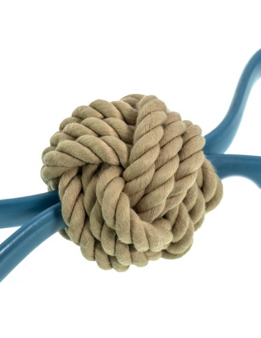 Interactive dog toy Flex - Record