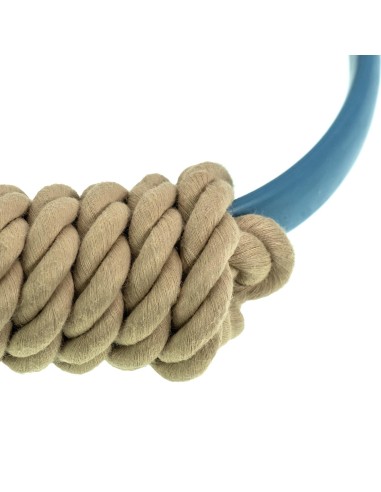 Interactive dog toy Flex - Record