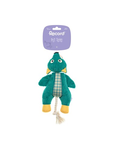 Interactive dog toys Wildplay - Record