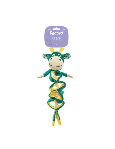 Interactive dog toys Wildplay - Record
