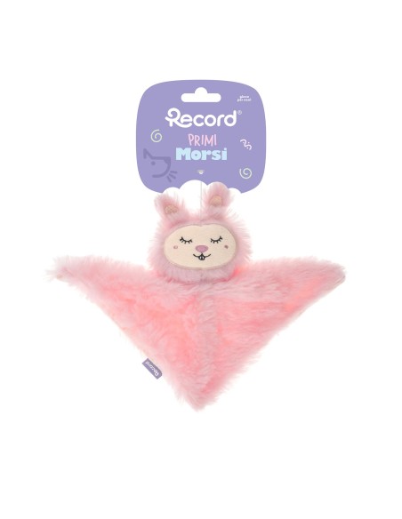 Gioco da mordere per cuccioli Primi Morsi - Record