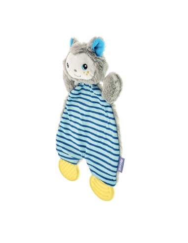 Puppy chewing toy First Bites - Record