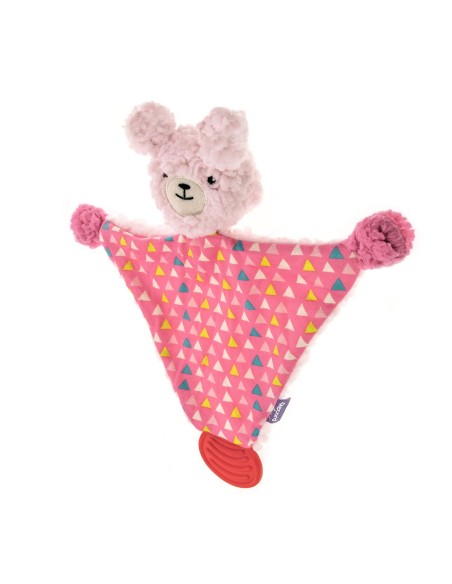 Puppy chewing toy First Bites - Record