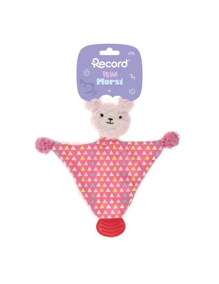 Puppy chewing toy First Bites - Record