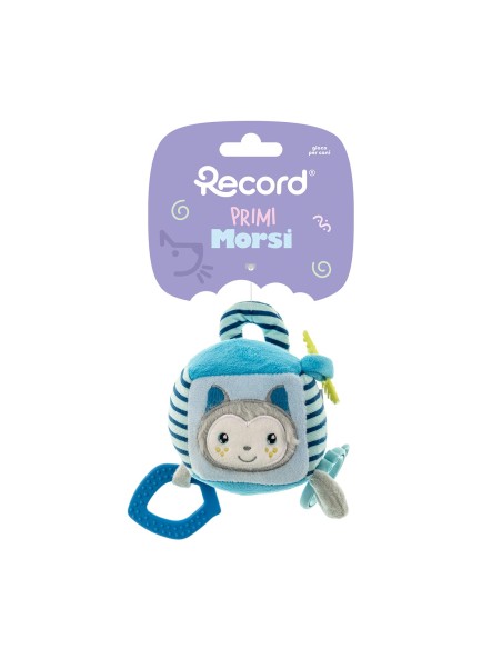 Puppy chewing toy First Bites Nut - Record