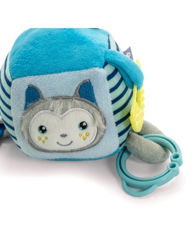 Puppy chewing toy First Bites Nut - Record