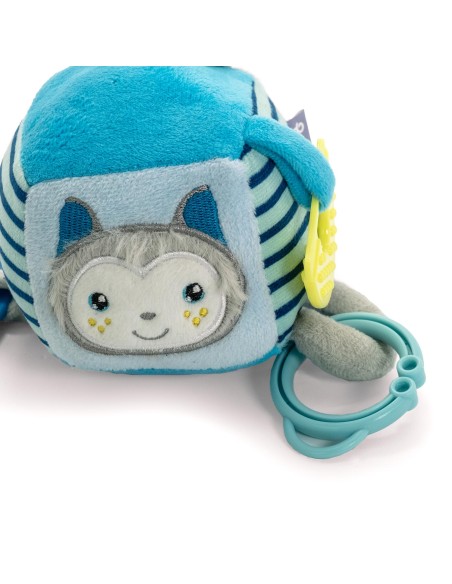 Puppy chewing toy First Bites Nut - Record