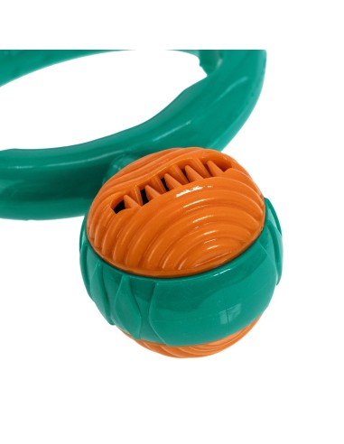 TPR dog toy with Jet squeaker - Record