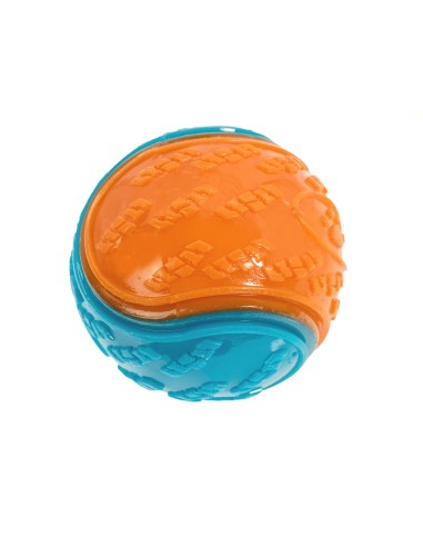 Dog chewing toy Bicolor Ball - Record