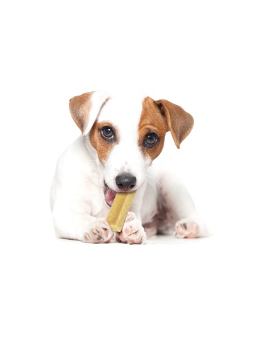 Snack per cani Milky Snack - Record