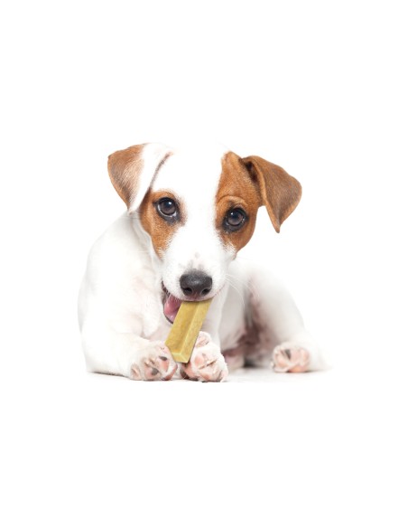 Snack per cani Milky Snack - Record