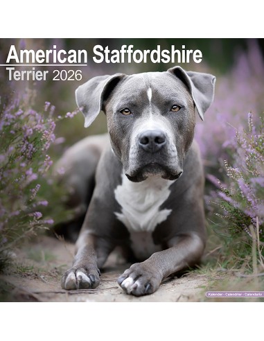 Calendars with guard and defence dogs - Record